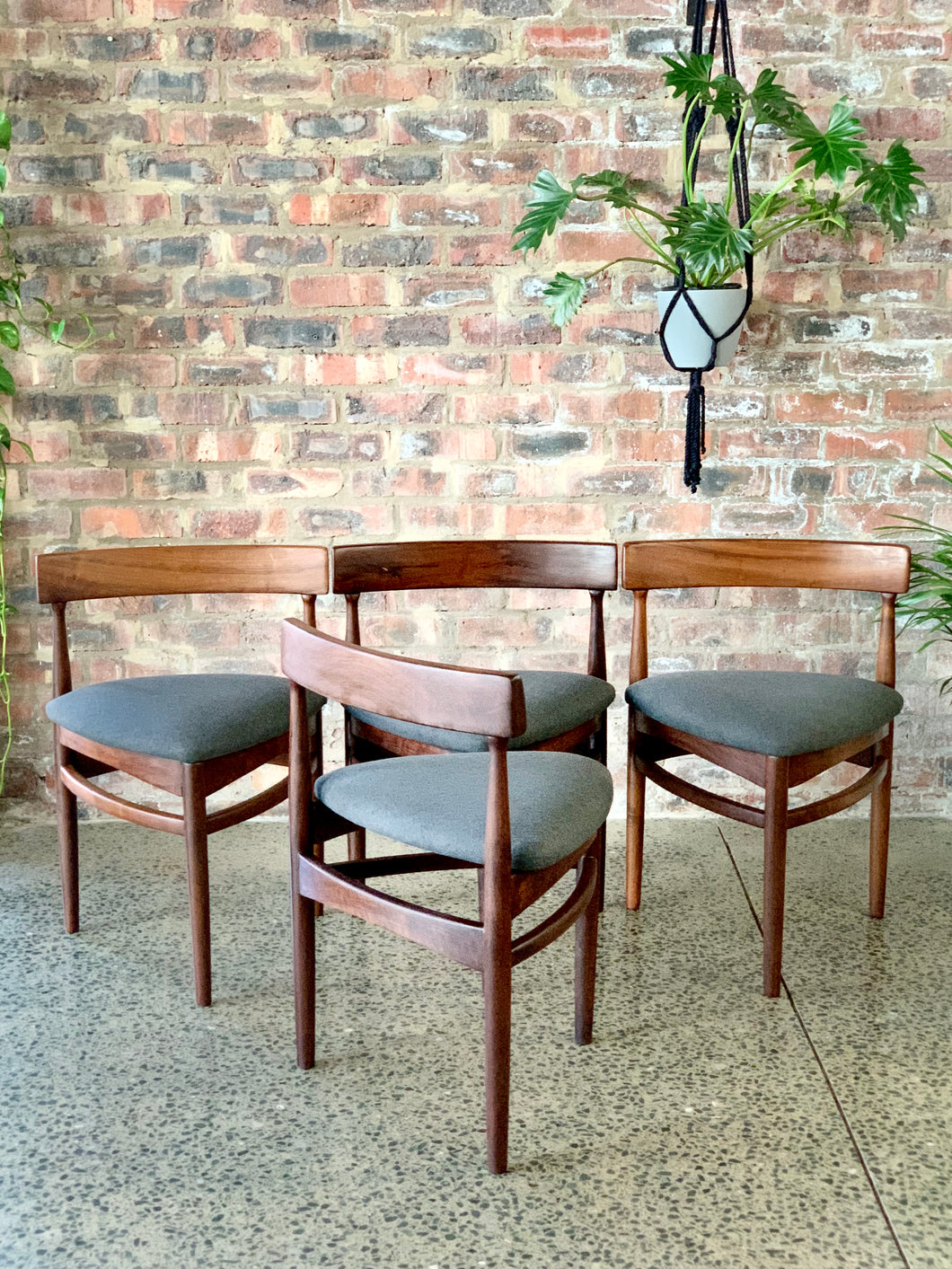 Solid Imbuia dining room chairs RE TREND