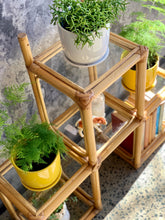 Load image into Gallery viewer, Small Vintage Cane &amp; Glass Shelving unit

