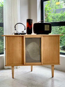 Vintage Cased Speakers