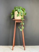 Load image into Gallery viewer, Wooden Plant Stands
