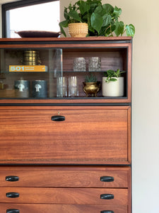 Mid-Century Steel & Wood Unit