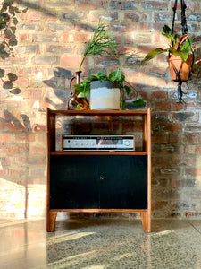 Kiaat media/ record storage cabinet