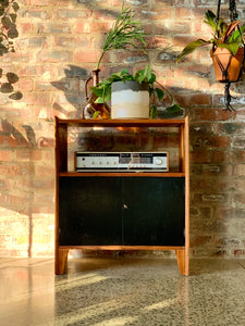 Kiaat media/ record storage cabinet