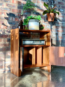 Kiaat media/ record storage cabinet