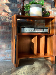 Kiaat media/ record storage cabinet