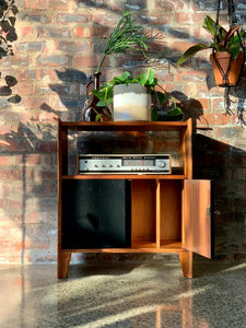 Kiaat media/ record storage cabinet