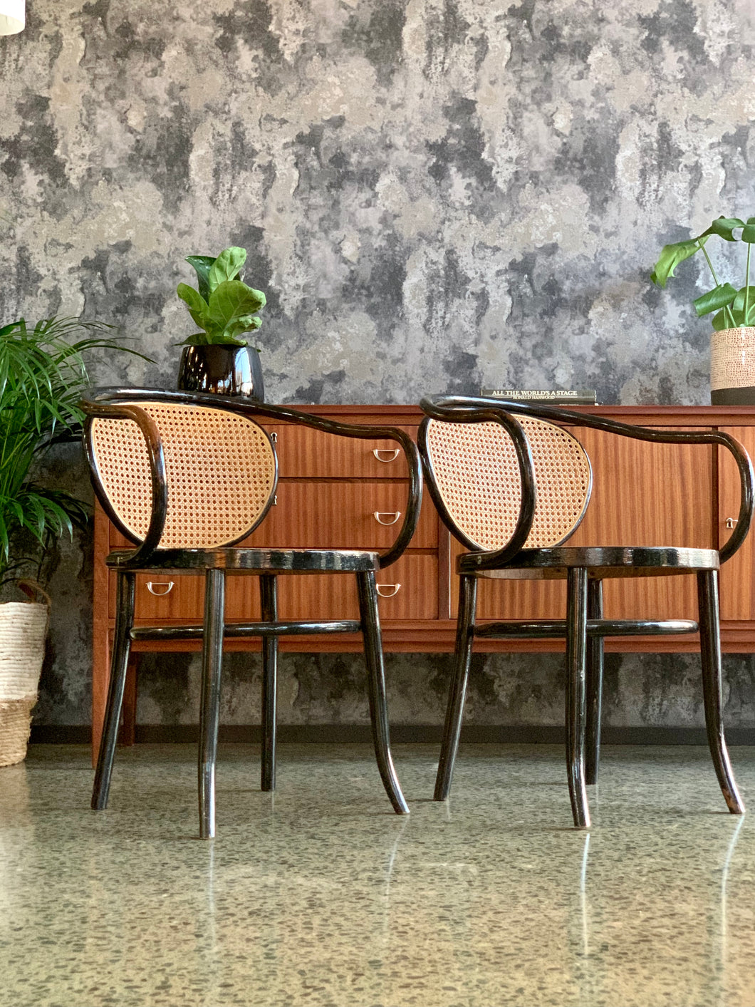 Pair Of Vintage Bentwood Chairs