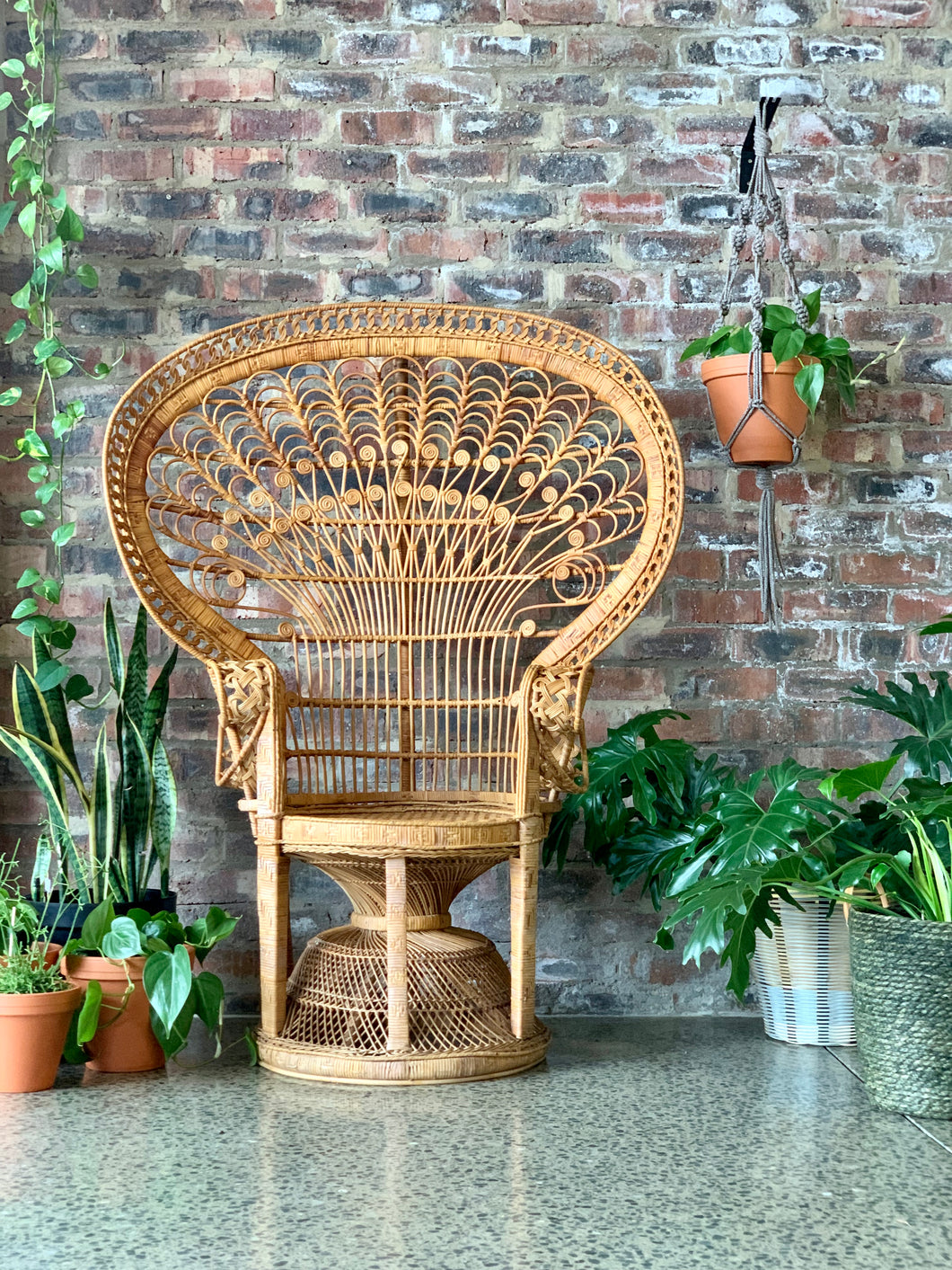 Vintage “Peacock” chair