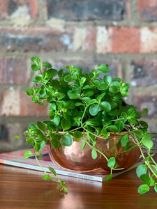 Vintage Copper Bowl