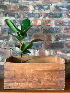 Variety of Vintage wooden boxes