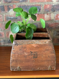 Variety of Vintage wooden boxes