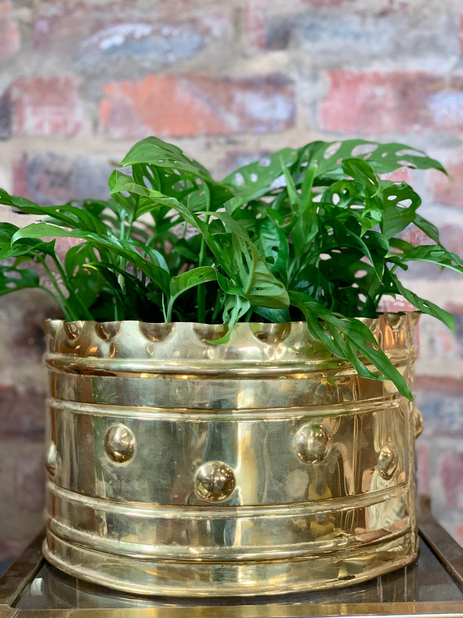 antique brass pots for plants Vintage Brass Planters – RE-TREND