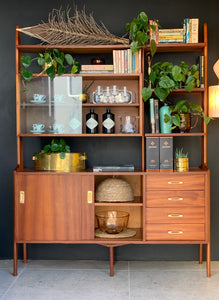 Mid-Century Wall Unit