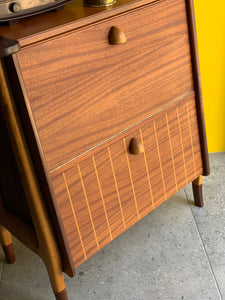 Record Storage Cabinet / Drinks Cabinet