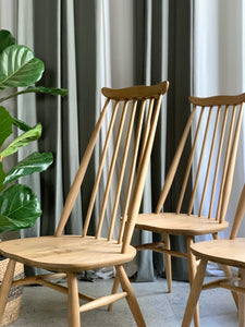 Set of Ercol Goldsmith Dining chairs