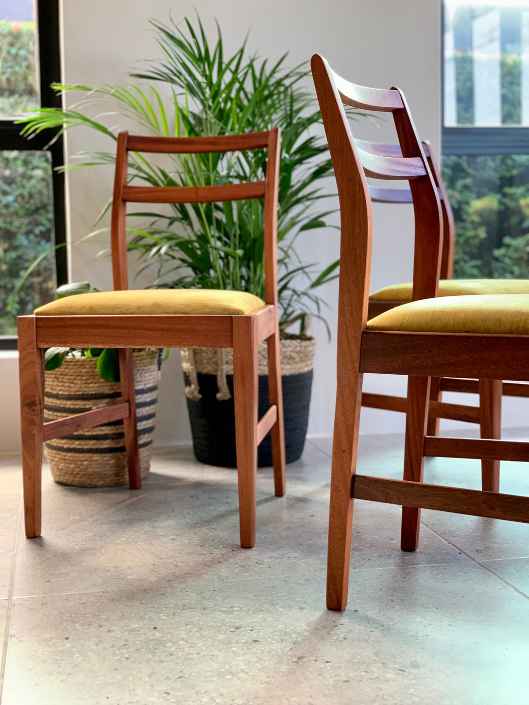 Mid-Century Dining Chairs