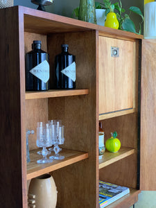 Vintage Drinks Cabinet / Bookcase