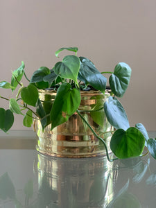 Vintage Brass Planter With Handles