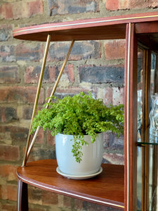 Retro display/drinks cabinet with brass detail